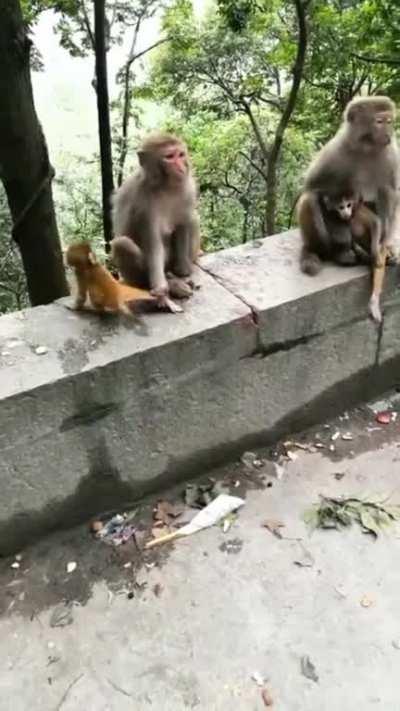 Don't you fucking touch my kid.