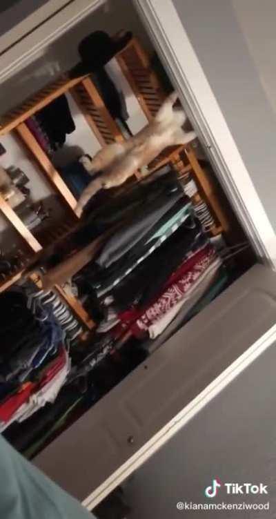 Not sure if this was posted here