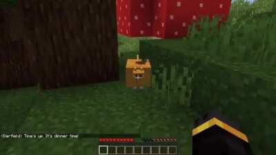 Where’s my lasagna John?