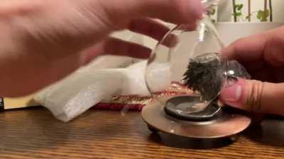 I am stupid. I forgot about the magnetic base...