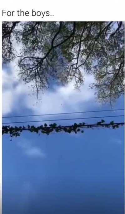 [request] how high did it go and how can I get one