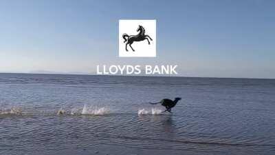 Took a video of max at the beach and it reminded us of something... (non-UK people might not get it)