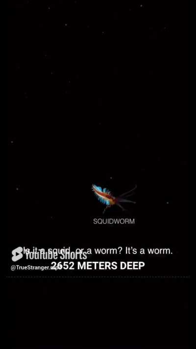 Visualizing the Depth of the Ocean