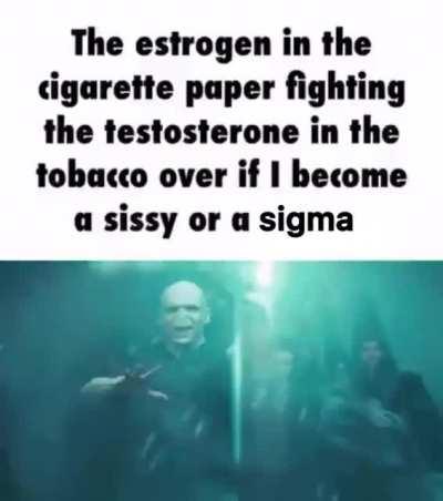 When the plant estrogen