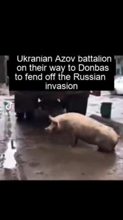 Mighty AZOV