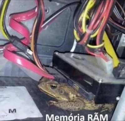 Acho que estou louco 