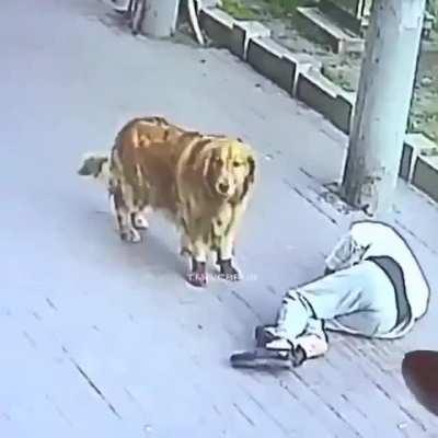 Gotta work on that reentry