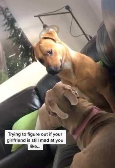 Trying to figure out if your girlfriend is still mad at you like..