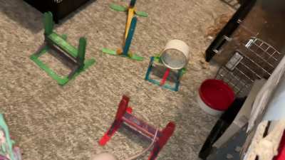 My adorable rat Feta is learning her first agility course!