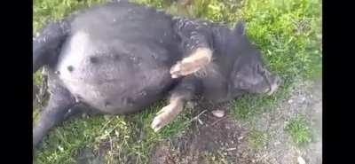 Нормально все?