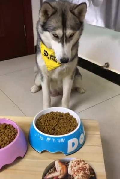 The Trick At Mecone, colorized