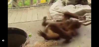 AMC TO THE MOOOOOOOON! 💎🌙🌑🌑❤❤💪🦍🦍🤯🐒🙉🙉😂🥳🥳🥳🤤🍗🚀🍌🦧💎🌙🌑❤💎🙌💎