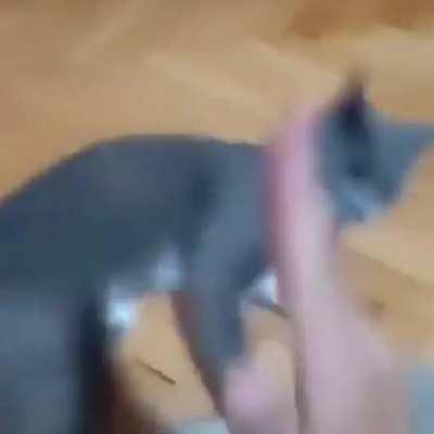 viCIOus sensEI beAts Up theIr OwN STUDEnt