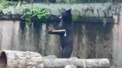 The bare necessities of life, they'll come to you (sound on)