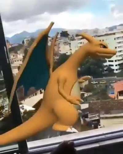 meu pokemon chatão KKKKKKKKKK