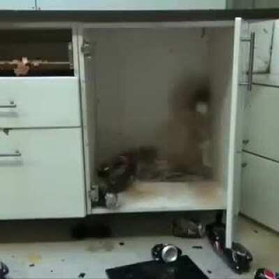 Me when I see a tiktok