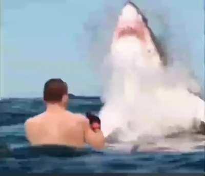 Conor mcgregor crazy edit