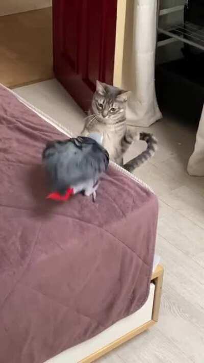 Well, things are really heating up in here...