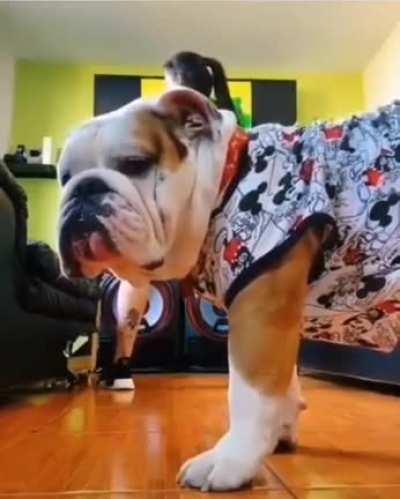 Oh no, not this sh#@ again