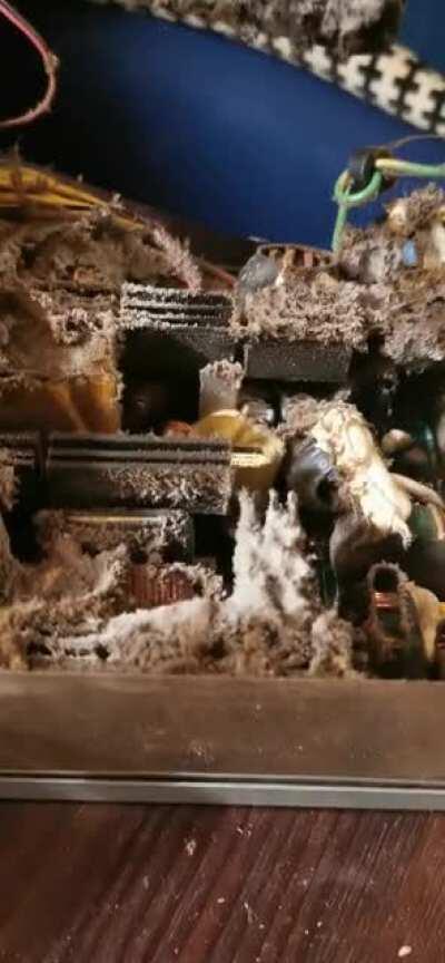 Today I opened my power supply for the first time in 11 years