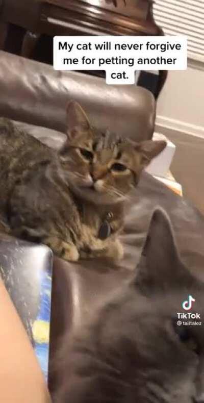 “All owners are the same”