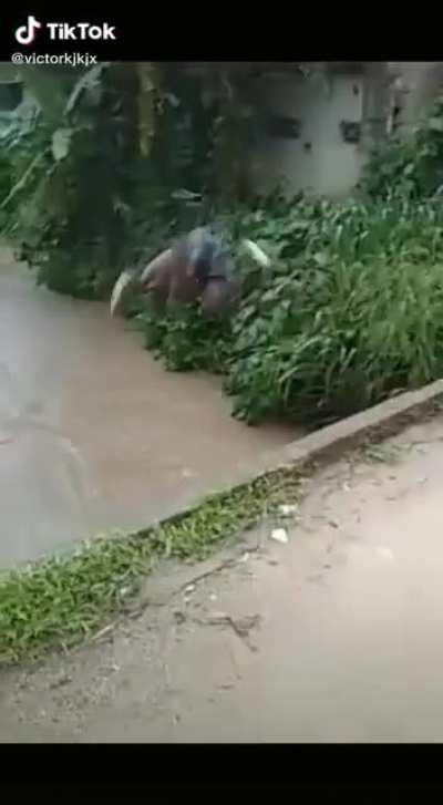 nada melhor do que dar uma bela refrescada