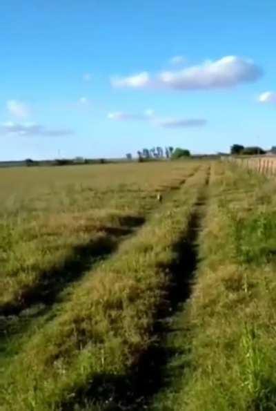 peluche es tu salario...