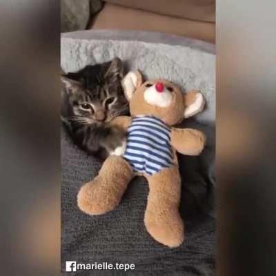 Criminal about to sleep