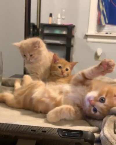 Babies+the office= sleepy time? i don’t make the rules