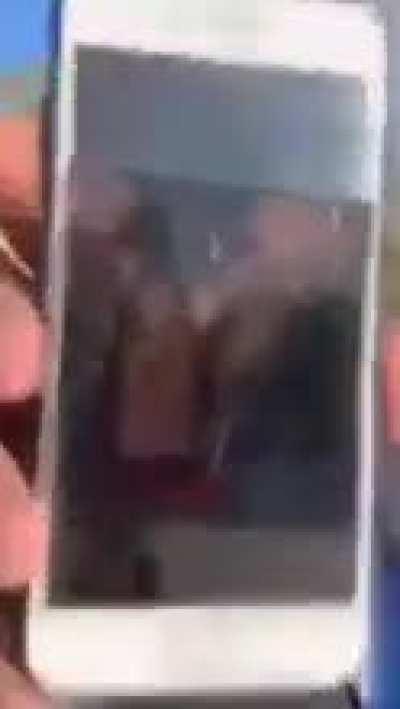 An aggressive encounter