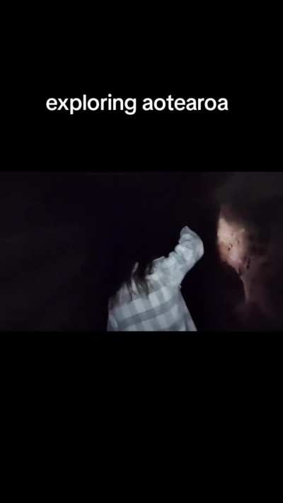 Exploring New Zealand