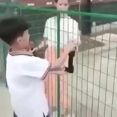 the child is a genius