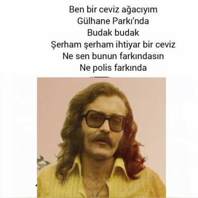 🌴🏞️👩🏻‍🦰🤷👮🤷