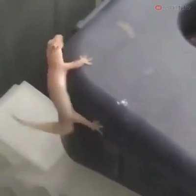 ‏‏‏‏‏‏‏‏