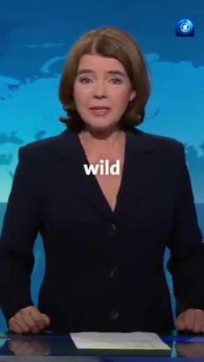 Tagesschau Sprecherin Susanne Daubner liest die Jugendwörter des Jahres vor... Jetzt habe ich alles gesehen