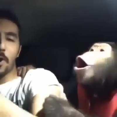 Wow! Grinta monkey with its owner