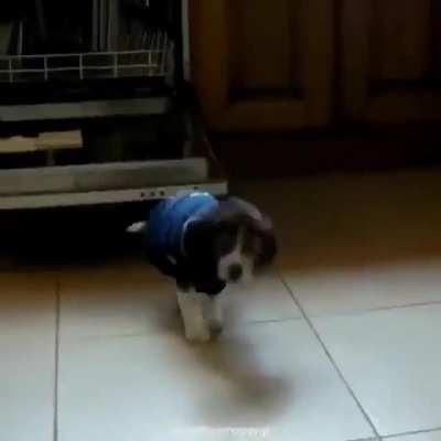 everybody when Titanfall 3 comes out