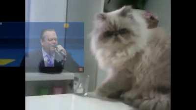 We're gonna do it anyway