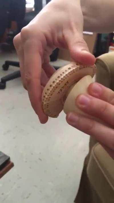 These two snails live in different oceans, but their shell coils are identically inverted.