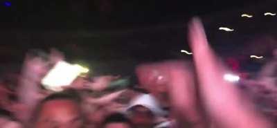 I still love Moth To A Flame