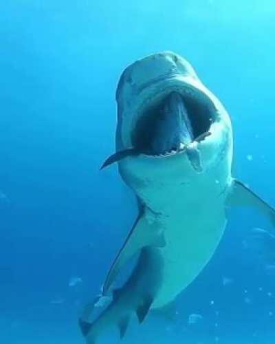 Definitely don’t wanna die like that.