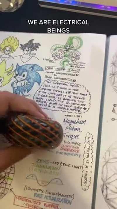 The drawings area amazing tho