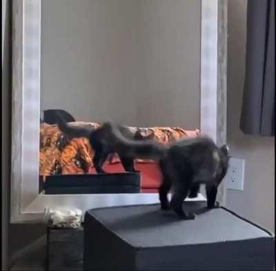 Gettin' ready for Halloween