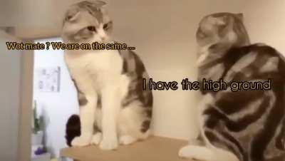 Now the Prequel version