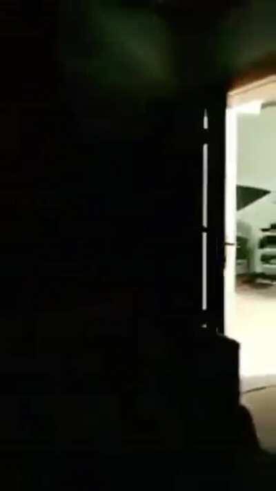 Sneaky runs in the family