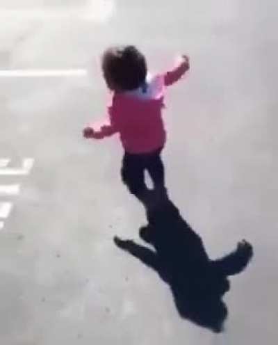 Beware of the shadow