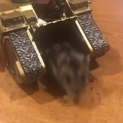 Warhamster Horus deployed in Istvaan V