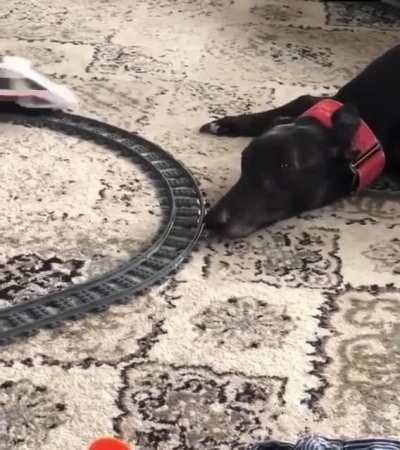 It’s fine. I’m fine. Everything is fine.