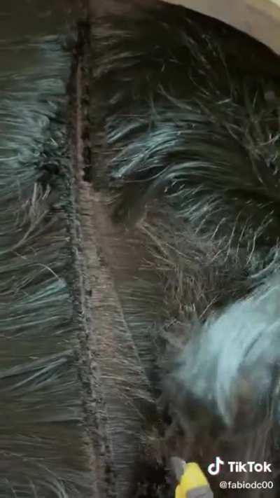 ¡¡¡¡Increíble le cortan el pelo a illojuan!!!😲😲