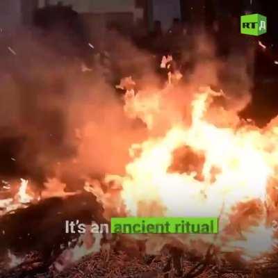 🔥It’s a race through fire. In Spain, an annual ritual of horse-cleansing takes place. Hundreds of riders jump their horses over the flames. The rite is believed to help protect the animals from disease and injury. 